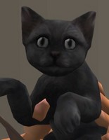 Le chat Maboule