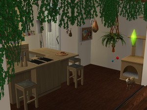 Cuisine