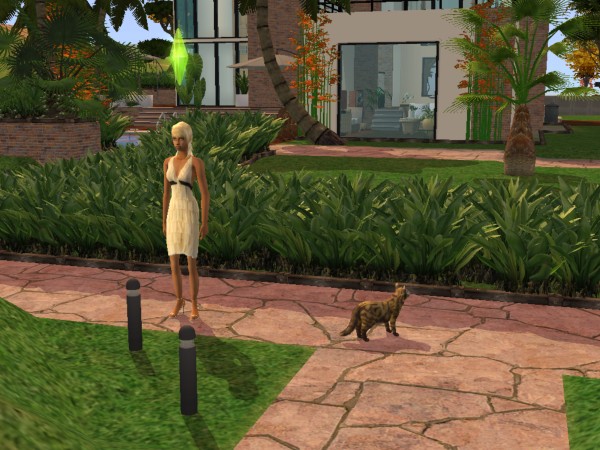 Dans le jardin