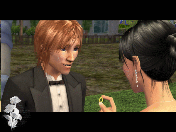Monsieur et Madame Simsguys