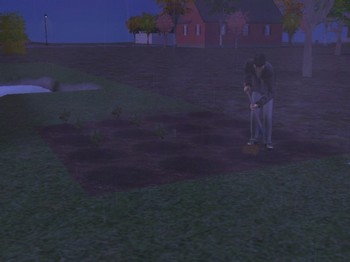 Planter