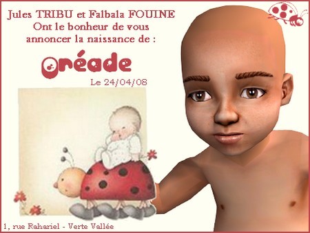 Orade Fouine
