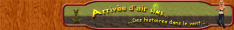 Arrive d'air sims
