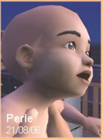 Perle bb