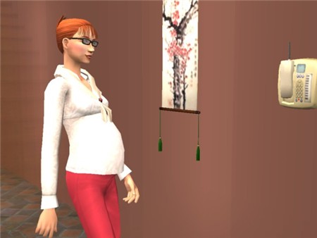 Carla enceinte !