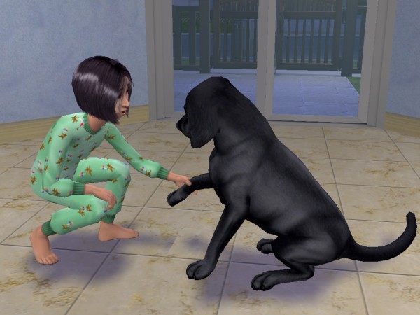 Filou, le chien de Martine