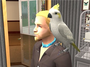 Gentil oiseau !