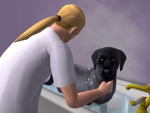 Filou prend un bain