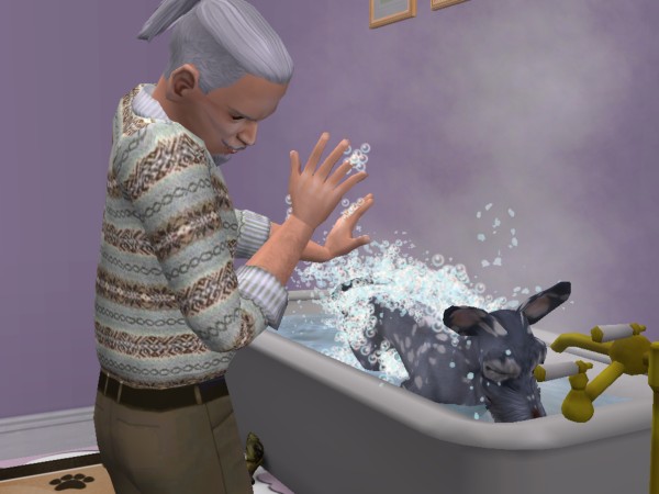 Bain de Scratch