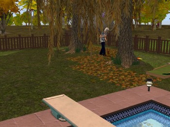 Ramassage de feuilles