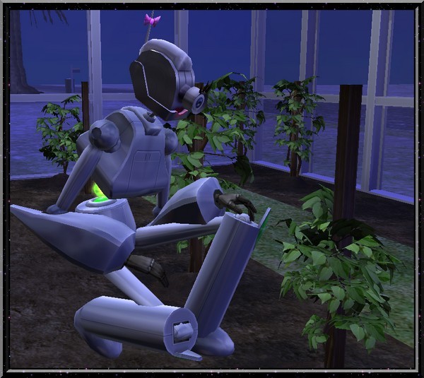 Mina parle aux plantes